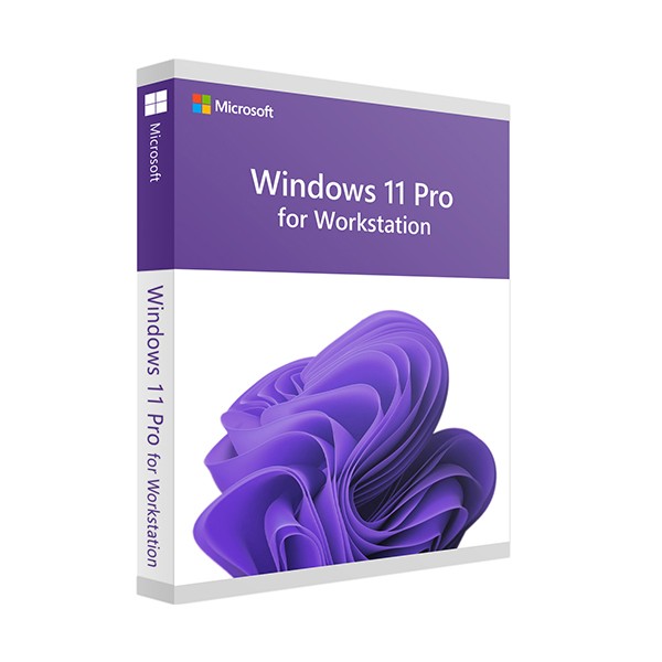 Microsoft Windows 11 Workstation